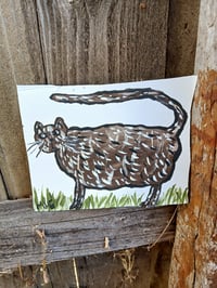 Image 2 of Cat
