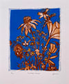 Coneflower and Daisies Print 