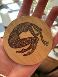Out of the Woods COASTER
