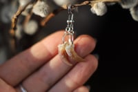 Image 5 of Orecchini -Artiglio di Volpe-