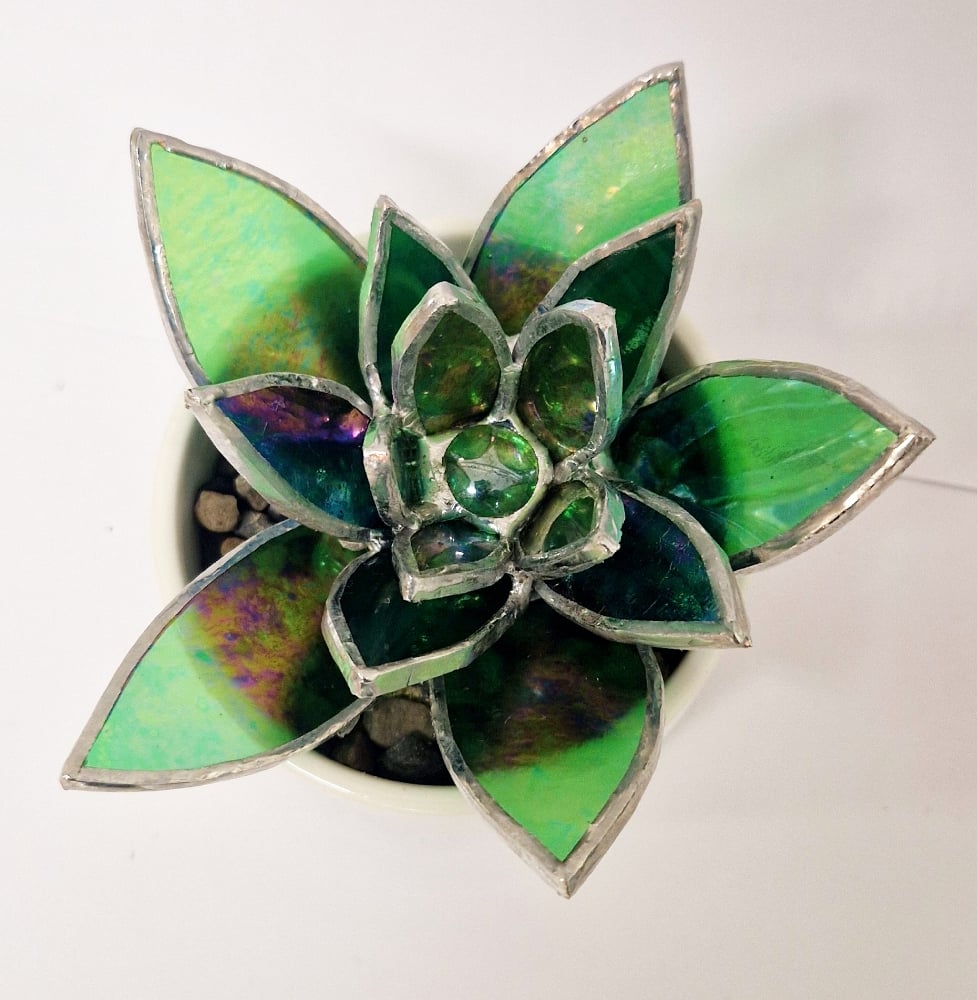 Image of Stained Glass Succulent 