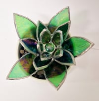 Image 5 of Stained Glass Succulent 