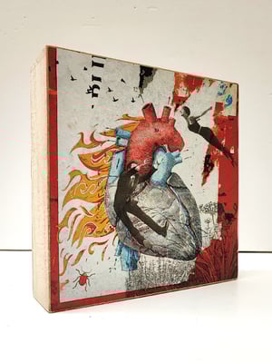 Image of Asalto al corazón.