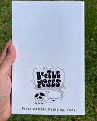 Image 4 of The Flyer: First Edition