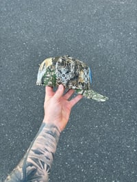 Image 3 of REAL TREE UNC CHAPEL HILL CUSTOM FITTED CAP