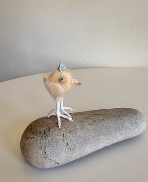 Image of Very Tiny Chicken Baby