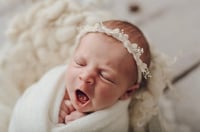 Image 10 of Mini Cream Bows Halo