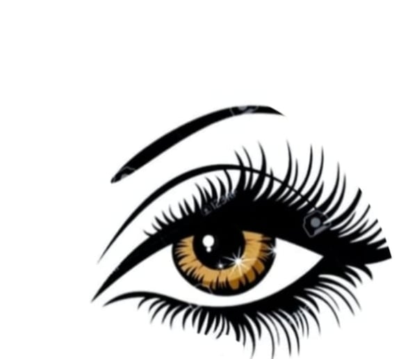 Image of Lash In A Bag