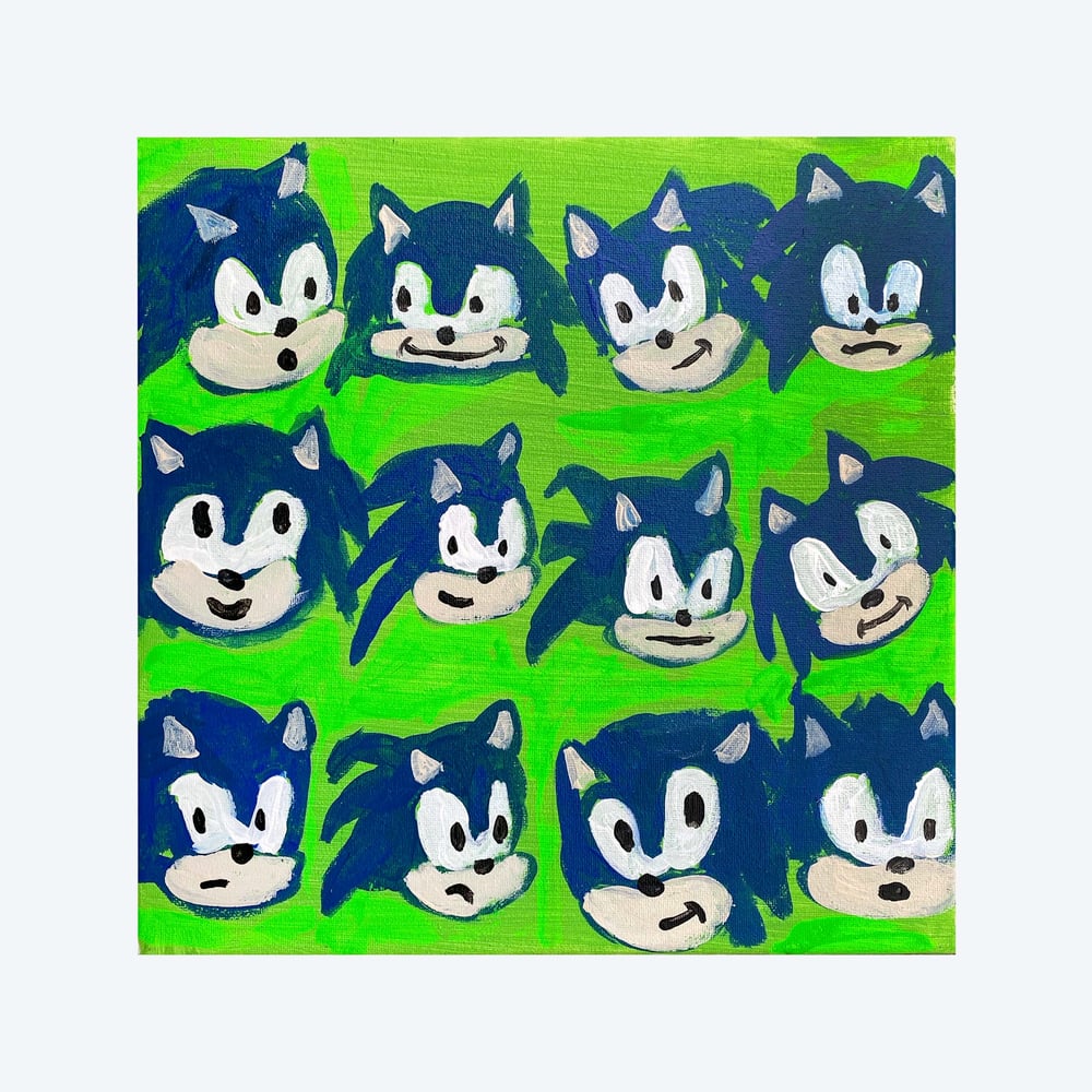 "A Dozen Sonics"