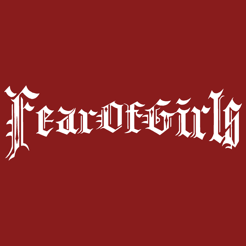Image of Fear Of Girls Banner