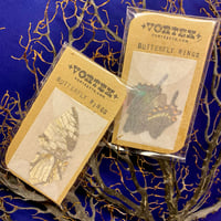 Image 2 of Real Butterfly Wings