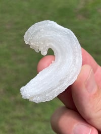 Image 4 of Ram’s Horn Selenite, Gypsum Specimen | Guizhou China #3050