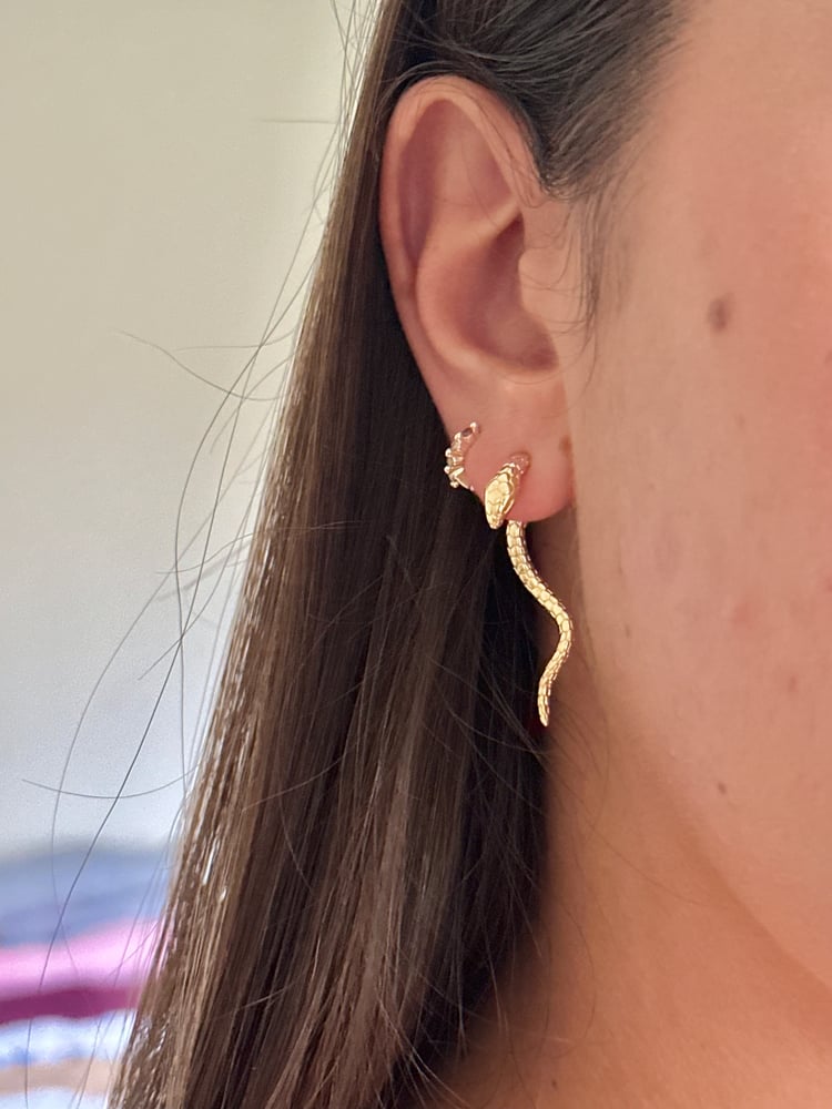 Image of Reputation Studs