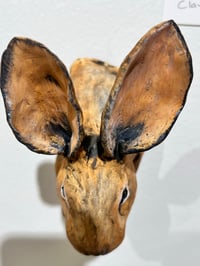 Image 2 of To cook your Hare, you must first catch it- Julie Kradel