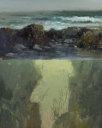 Tide Pool 2