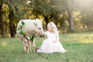 Image of Unicorn Sessions