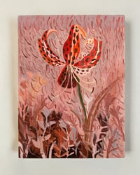 Tiger Lily No. 1