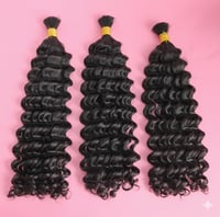 Image 1 of Double Drawn Burmese Italy Curl