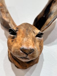 Image 2 of A Hare closer to hearing your secrets- Julie Kradel
