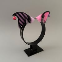 Image 3 of Pink/Lilac Jester Kitten