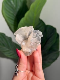 Image 1 of BOWTIE STILBITE X DIAMOND APOPHYLITE -INDIA- E