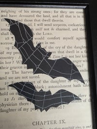 Image 3 of 1800’s biblical BATS with preserved spider web - black framed -4