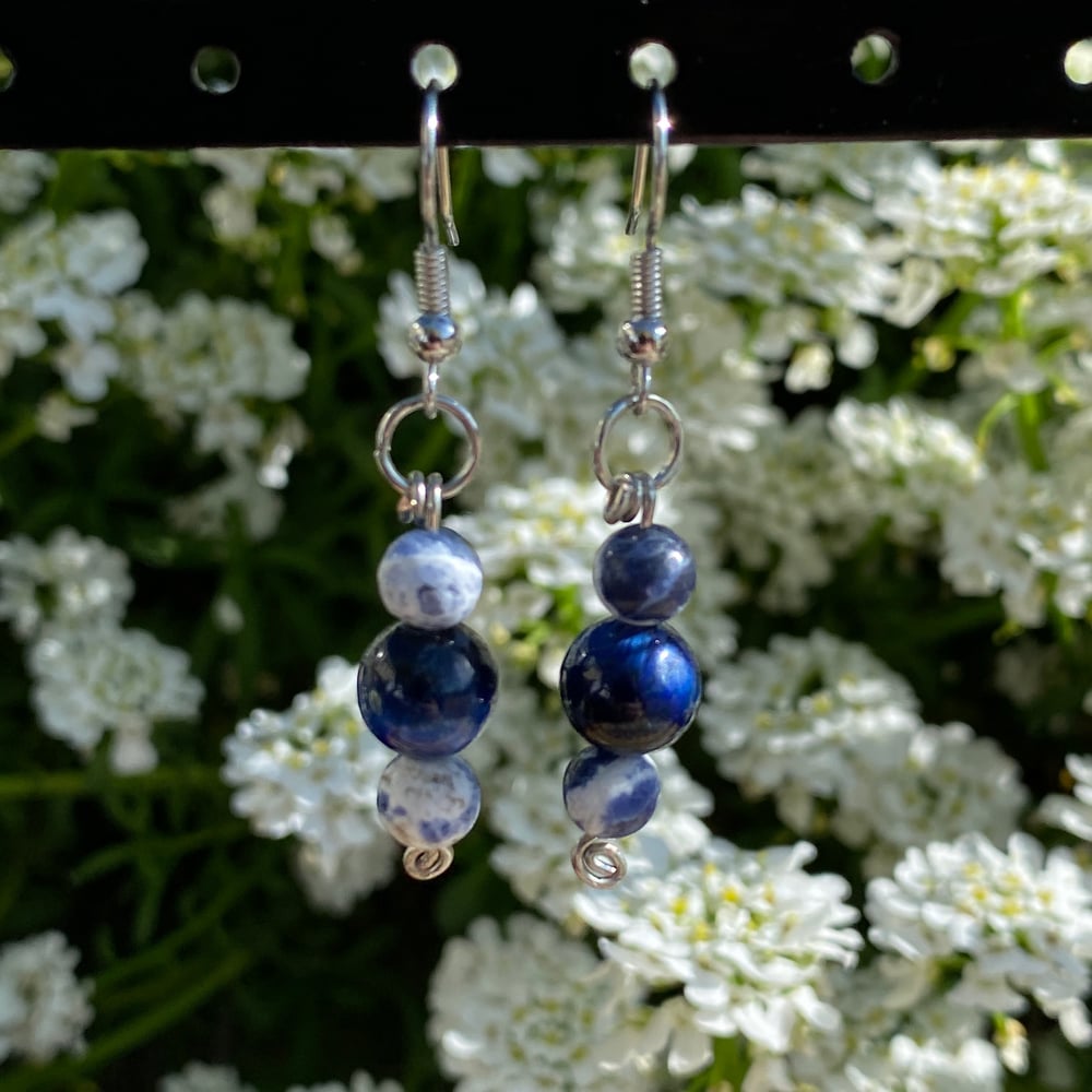 Image of blissful night earrings 