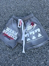 Image 2 of Grey Inner Wisdom Shorts