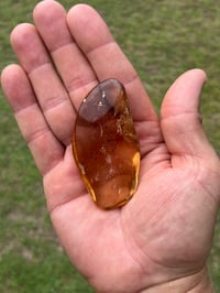 Image 9 of Copal Amber With Preserved Insects #2631