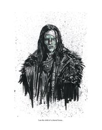 Image 3 of Del Toro Frankenstein Selection - 11x14 Signed Print