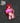 Rias V1 Peeker