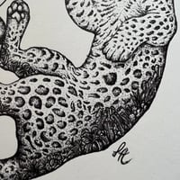 Image 3 of Cheetah 