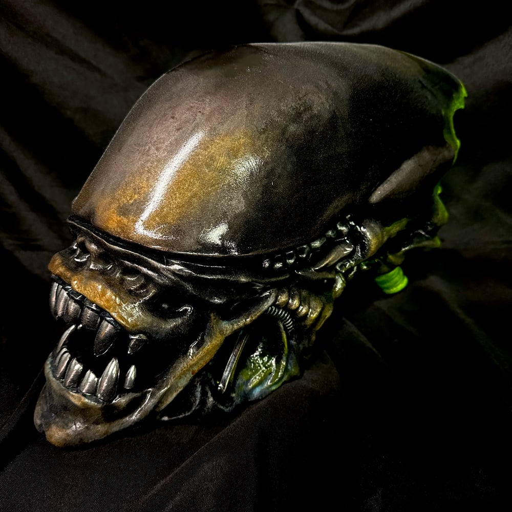 1:1 Scale Xenomorph Warrior Trophy Head