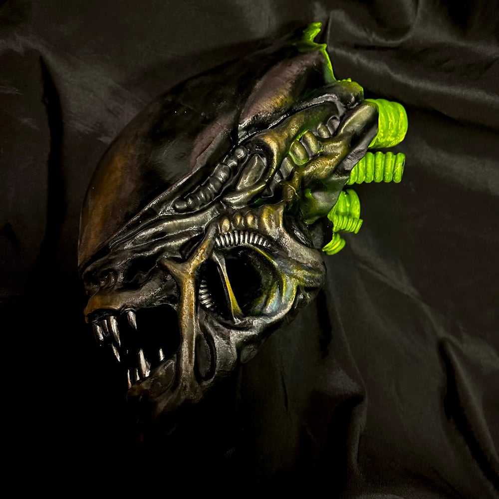 1:1 Scale Xenomorph Warrior Trophy Head
