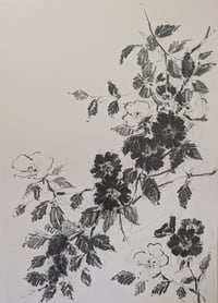Wild rose no III