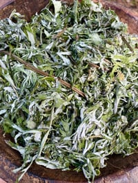 Image 3 of Mugwort Tea | Grown, Hand-Harvested, & Processed on Farm