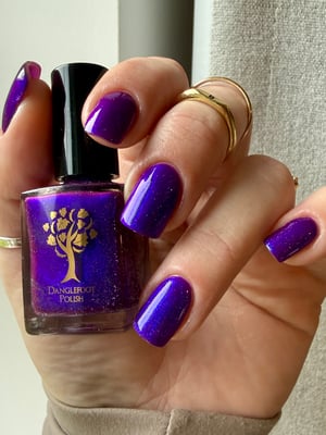 Image of Little box of Horrors