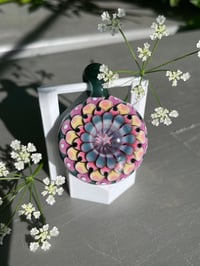 Image 3 of starry sorbet