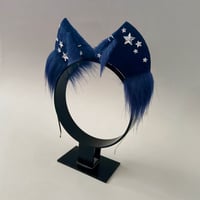 Image 2 of Navy Stars Kitten