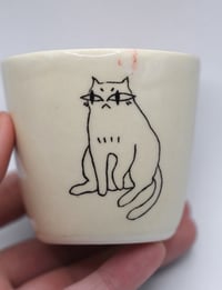 Image 1 of kitty craves chaos 8