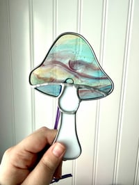 Image 5 of Mushrooms