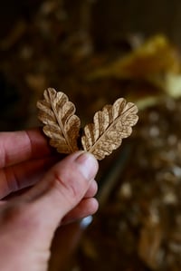 Image 2 of Oak leaf Earrings-