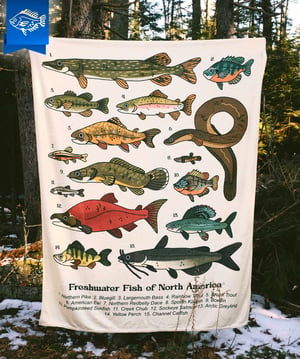 Fish of North America Blanket