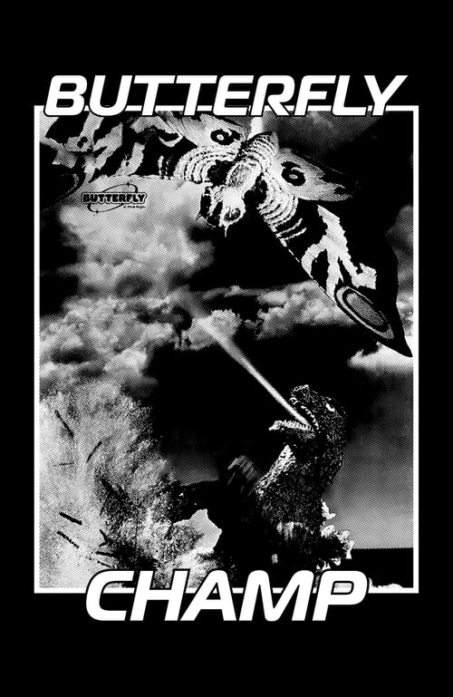 Image of Godzilla vs. Mothra