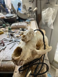 Image 2 of Antler Badger skull pendant 