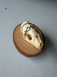 Image 1 of MINI MEMENTO MORI