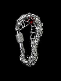 Image 1 of Aracne - Carabiner