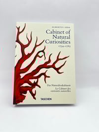 Image 1 of Seba. Cabinet of Natural Curiosities. 45th Ed.