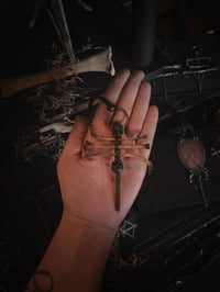 Image 3 of Bones & skulls 