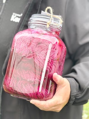 Image of SOL plantefarvedag, 2. august 2026